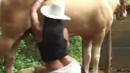 Американская шлюха сосёт хуй у коня на ранчо