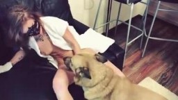 Соня и собака русское зоо порно видео. Artofzoo porn Sonya