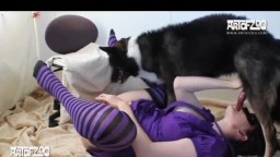 Vixen Purple Love - zoo sex girl and dog art of zoo video