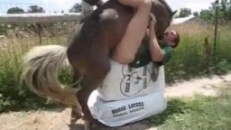 Конь насилует мужика в анал, жесткое видео зоофилии