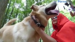 Красная шапочка и серый волк, зоо порно видео девушки с собакой в лесу