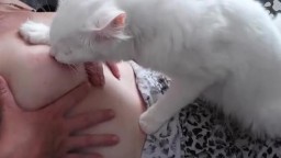 Порно женщины с котом, лижет сиськи хозяйки