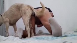 Мужчина зоофил отдался в жопу кобелю, секс с собакой