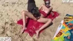 Artofzoo bestiality video,Donna beach bich