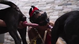 Зоо секс и минет девушки в маске с собаками, full hd видео